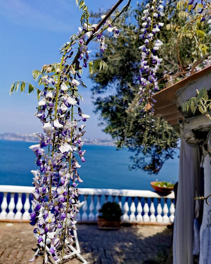 Summer Paradise Procida Buitenkant foto