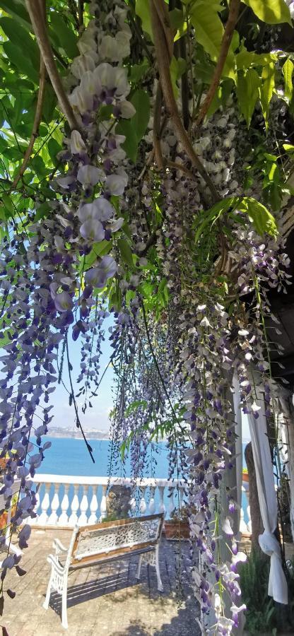 Summer Paradise Procida Buitenkant foto